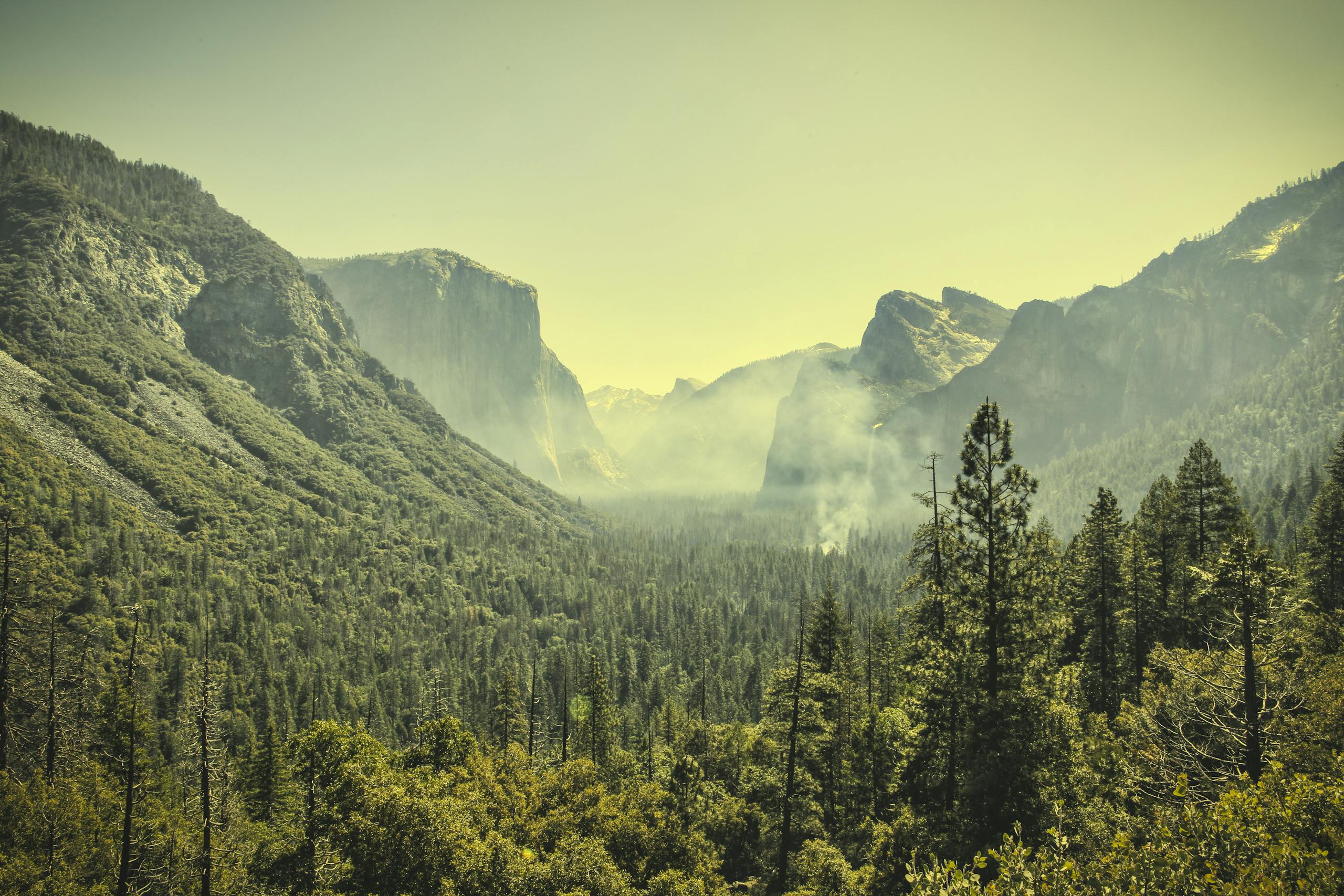 Foggy Sierra Nevada Mountain