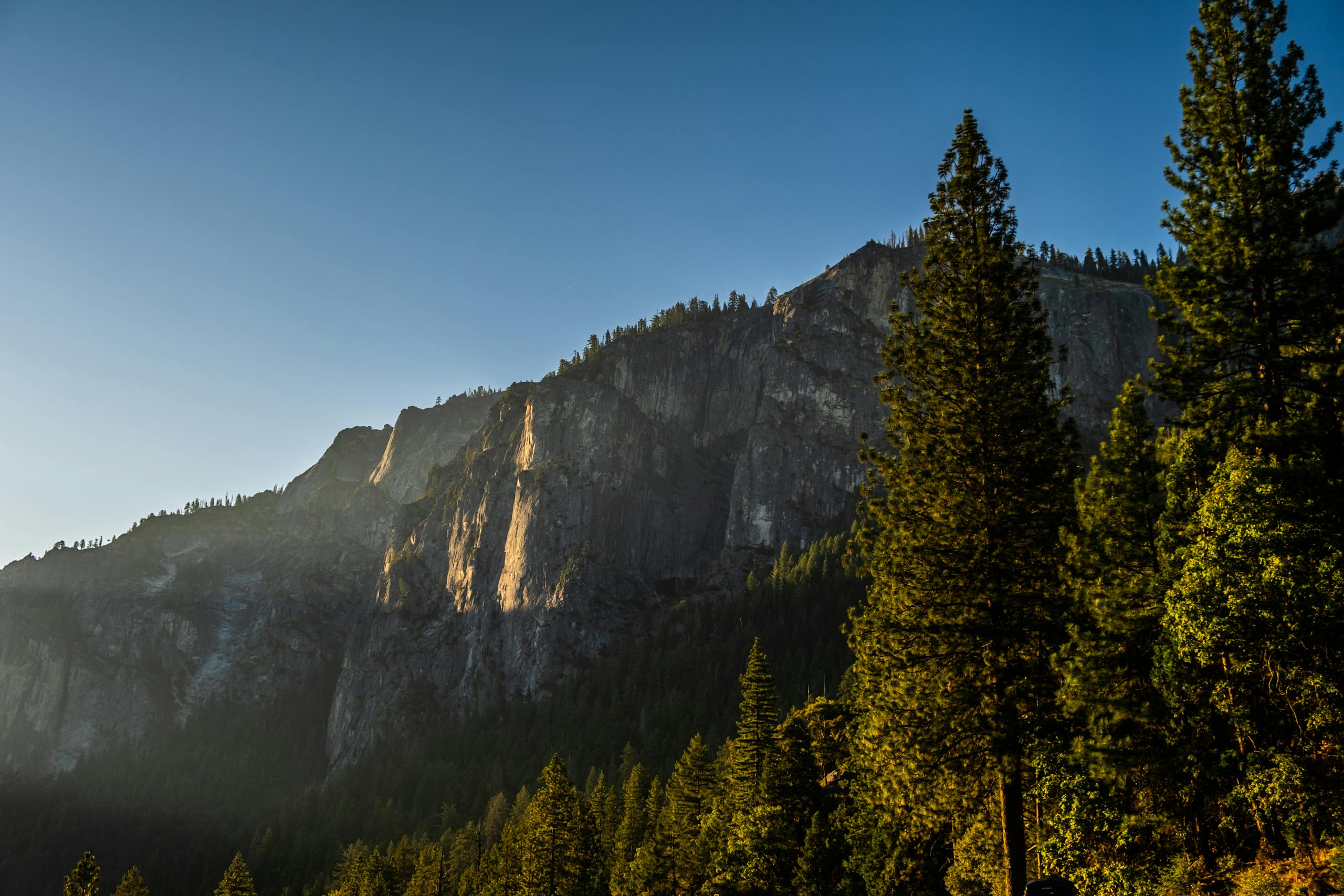 Green Pine Trees Near Rocky Mountains under Blue Sky